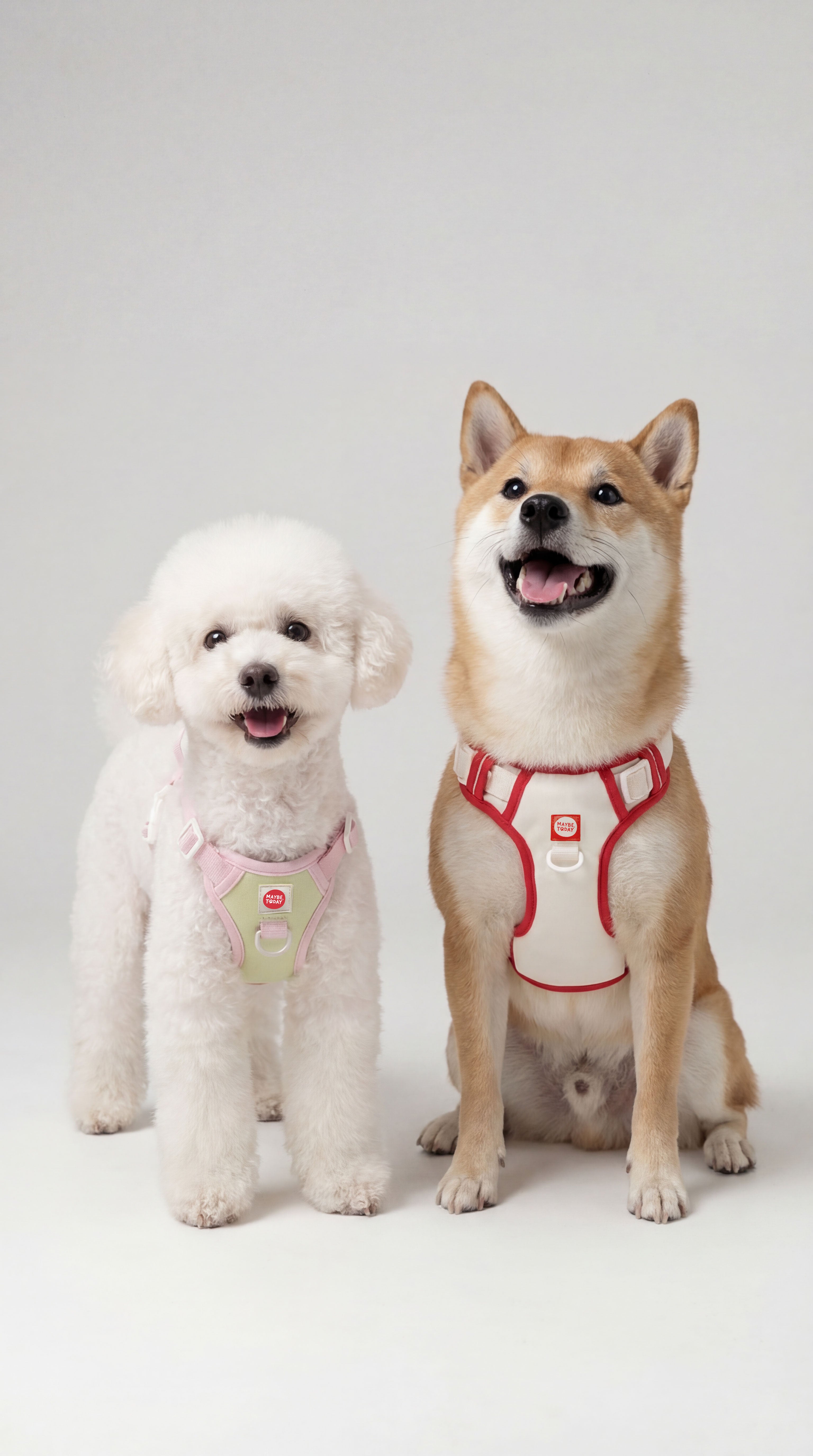 Cushion Harness