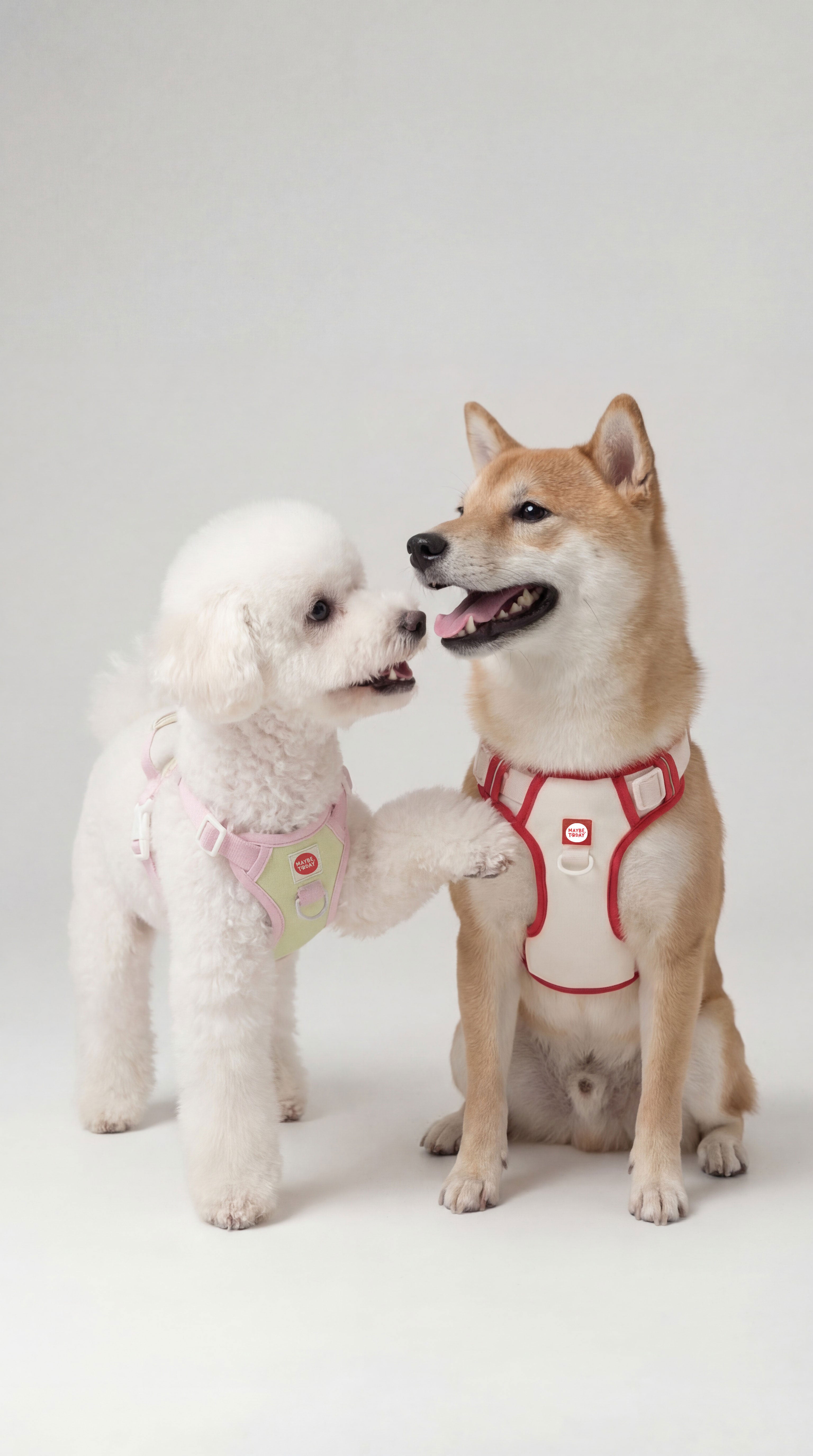Cushion Harness