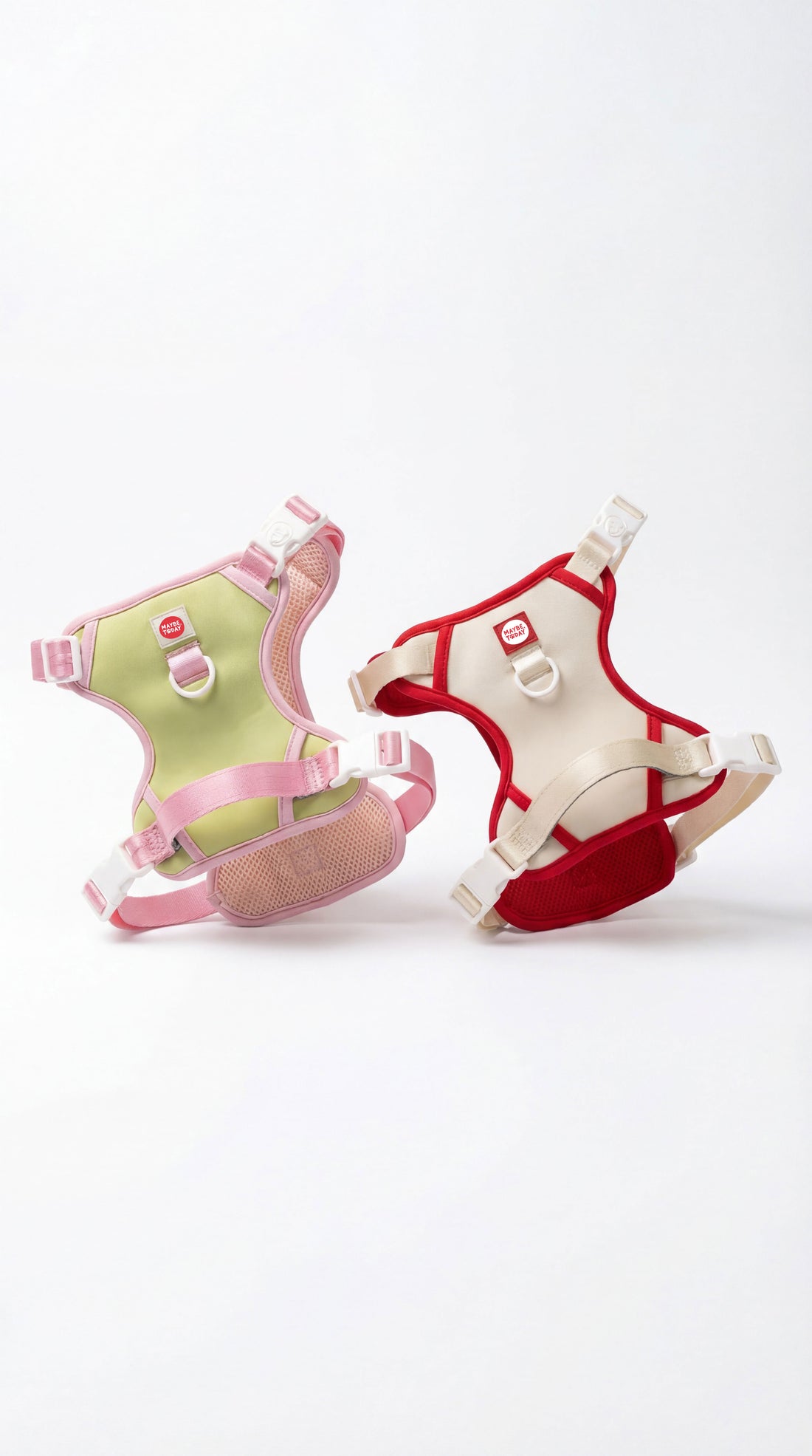 two dogs harness
