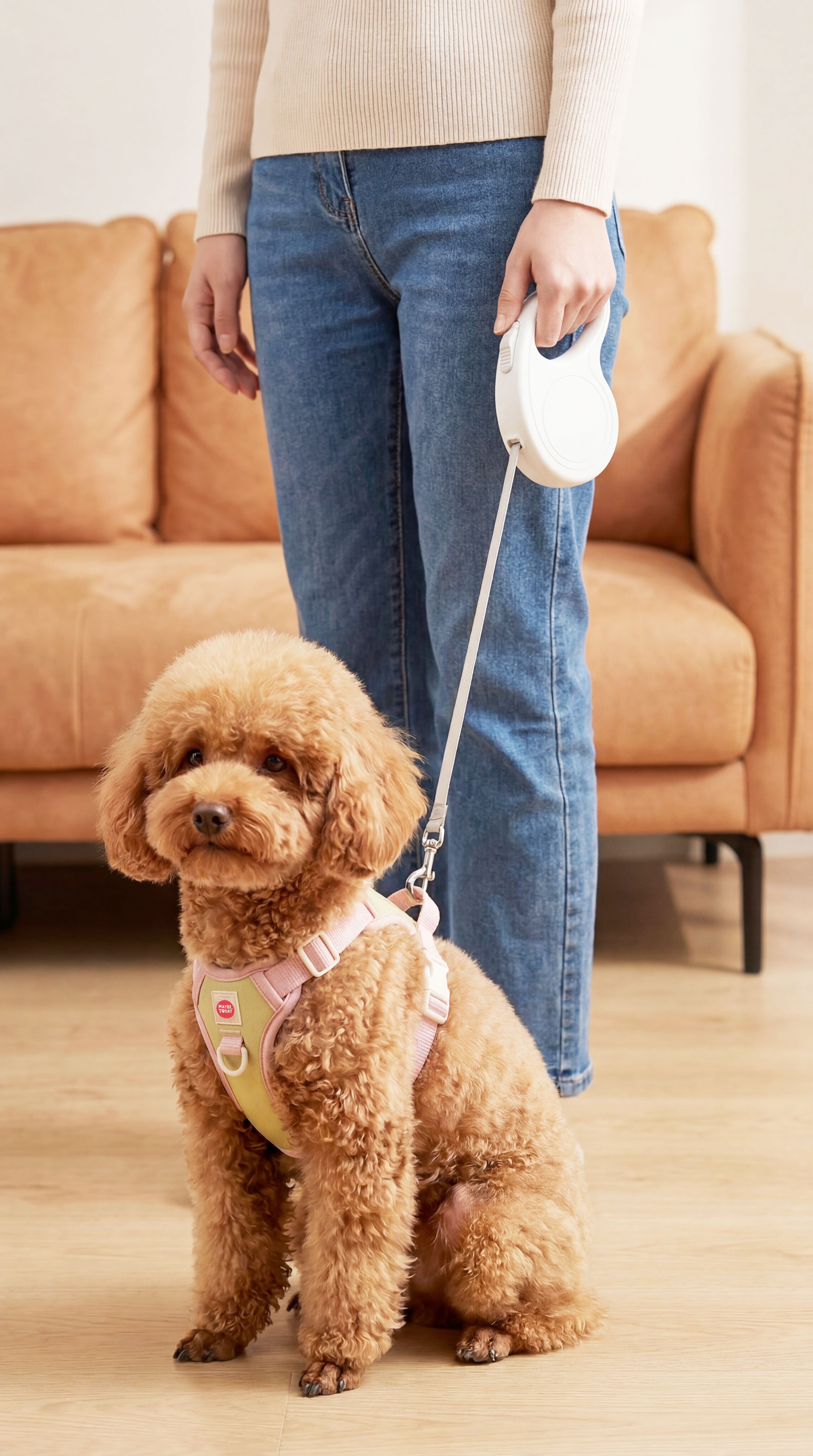 Basic Automatic Dog Leash (5m)