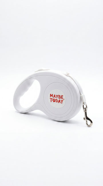 Basic Automatic Dog Leash (5m)