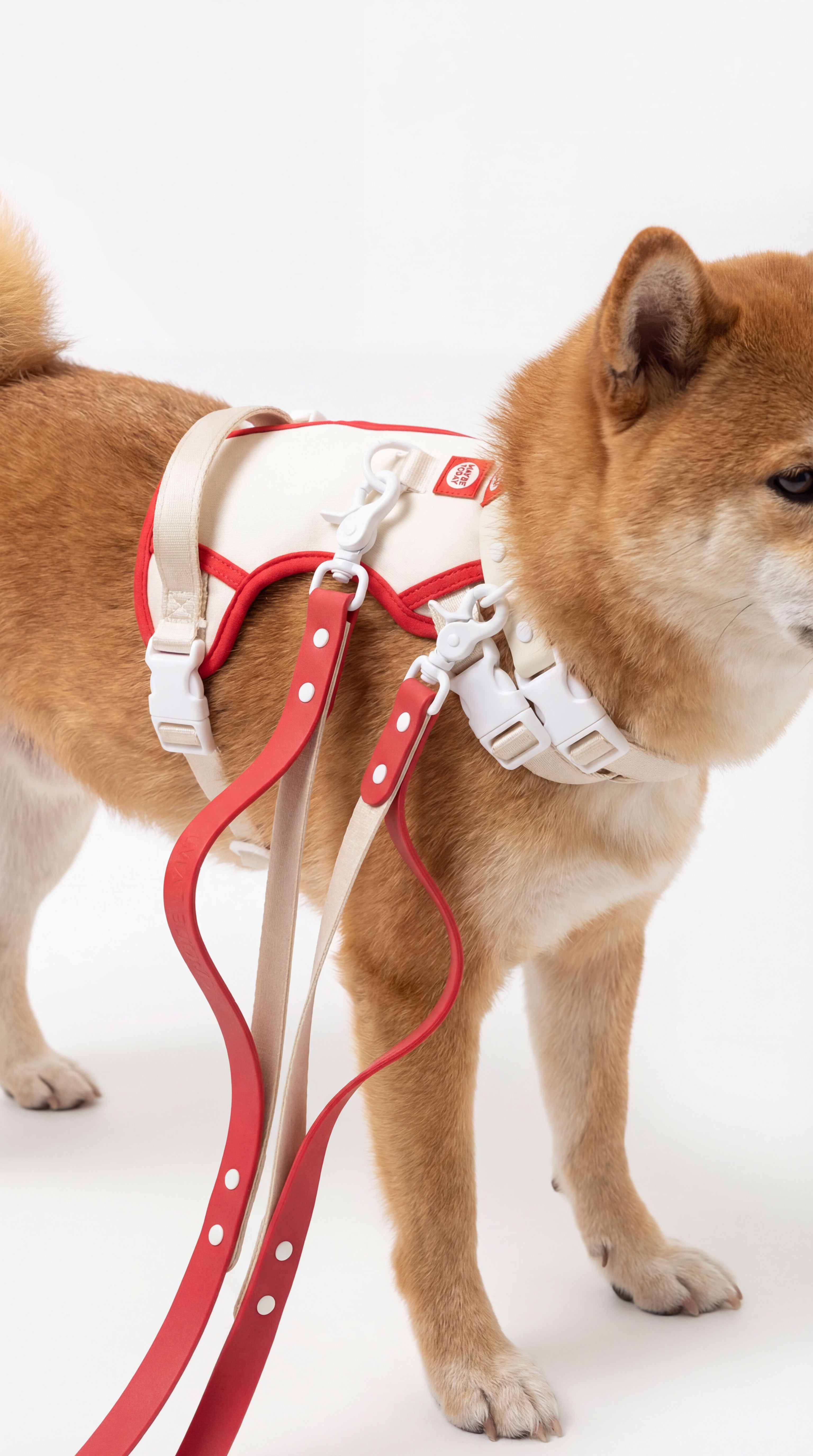 Hands-free Double Leash